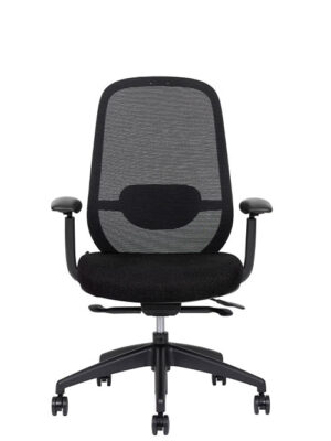 Silla Dirección Spirit Express Respaldo Bajo